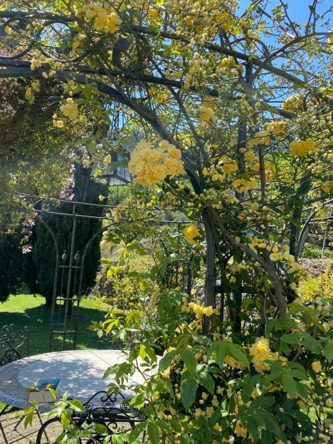Casa Virginia Villa Orco Feglino Dış mekan fotoğraf