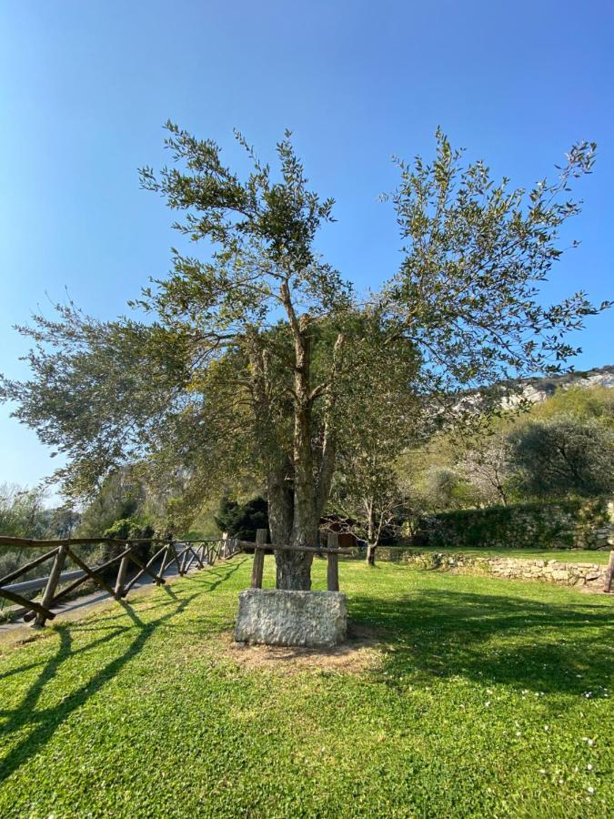 Casa Virginia Villa Orco Feglino Dış mekan fotoğraf